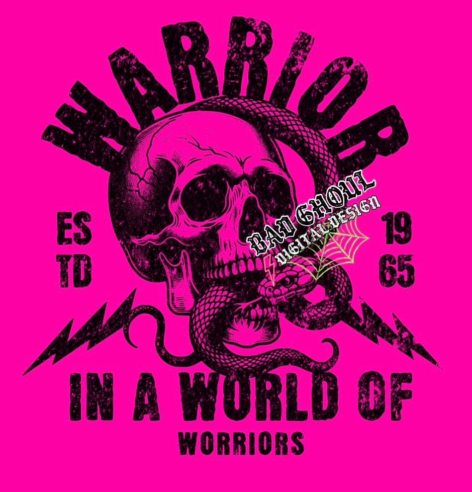 Warrior in a world full of worriers PNG Download