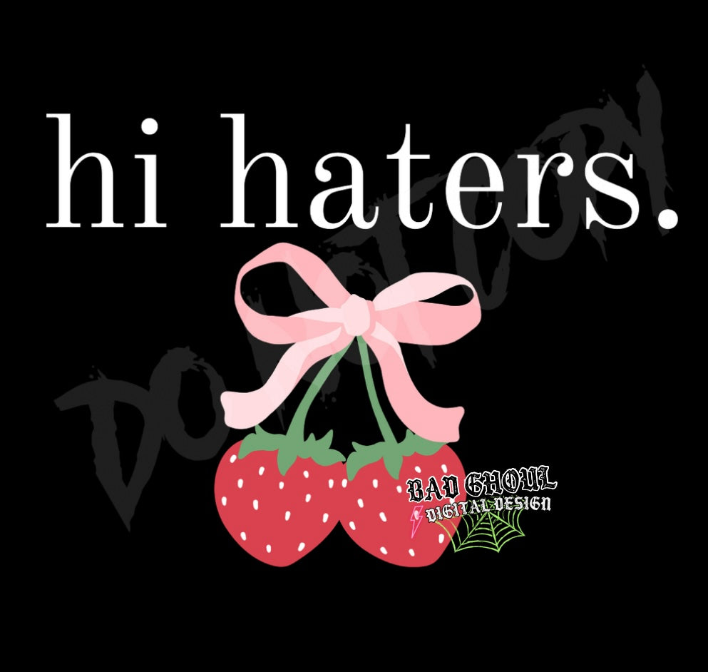 Hi Haters PNG Download