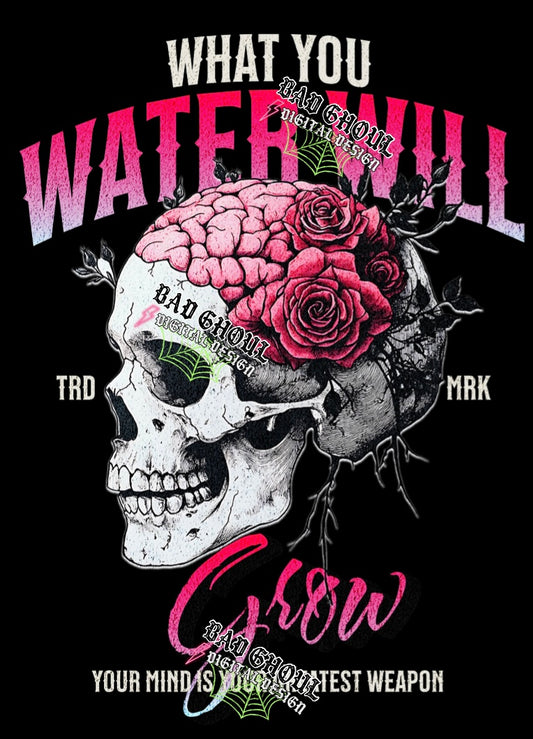 What You Water Will Grow PNG Download