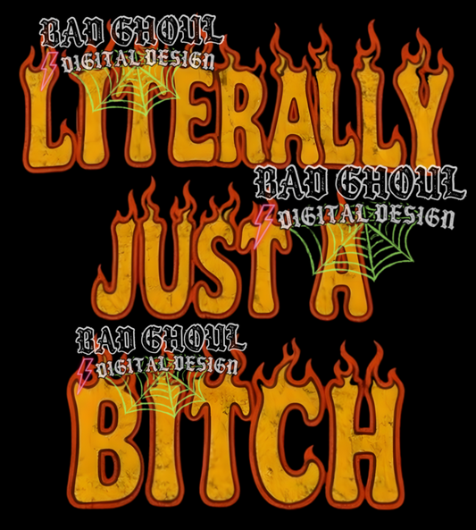 Literally just a bitch | PNG DOWNLOAD