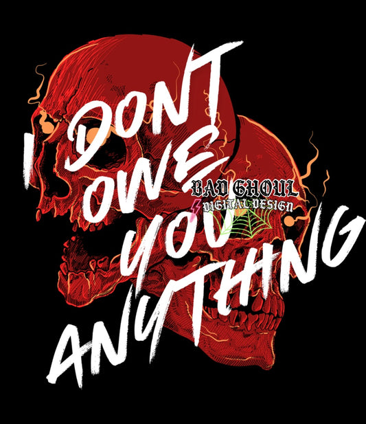 I Dont Owe You Anything PNG download