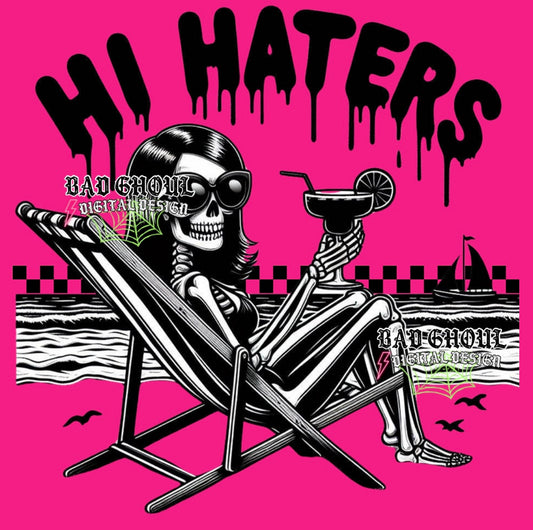 Hi Haters Download PNG